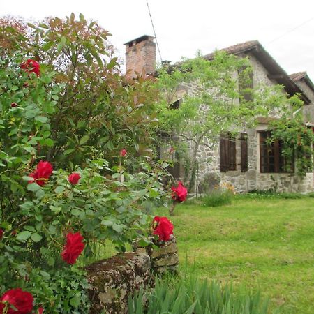 Joli Bois Bed and Breakfast Montrollet Buitenkant foto